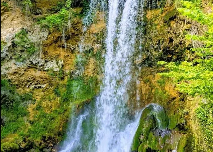 Krupajska Bajka Krepoljin